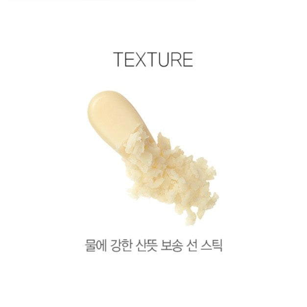 The SAEM Eco Earth Waterproof Sun Stick 17g