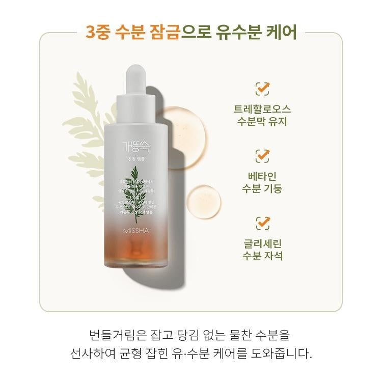 Missha Time Revolution Artemisia Ampoule 50ml