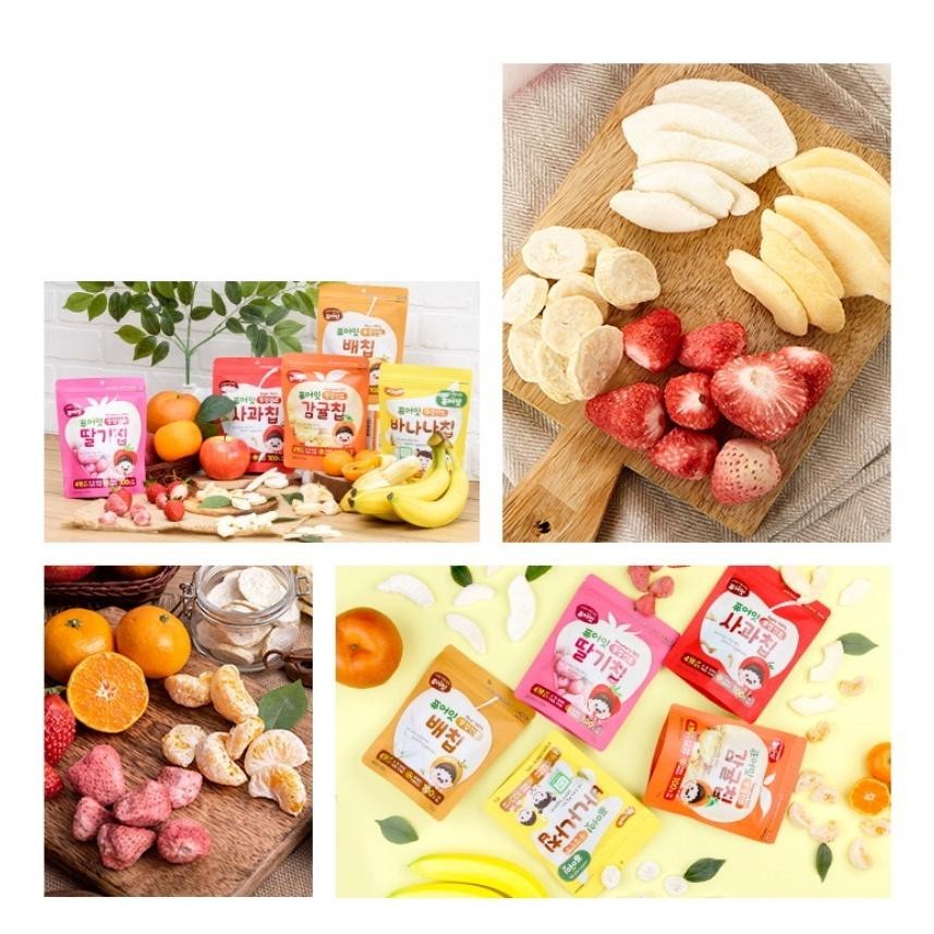 Pure Eat Fruit Chips 25g