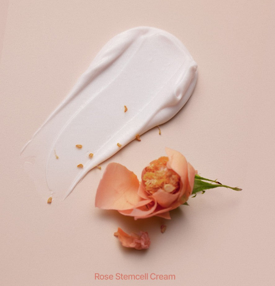 Bonajour Rose Stemcell Cream 50ml