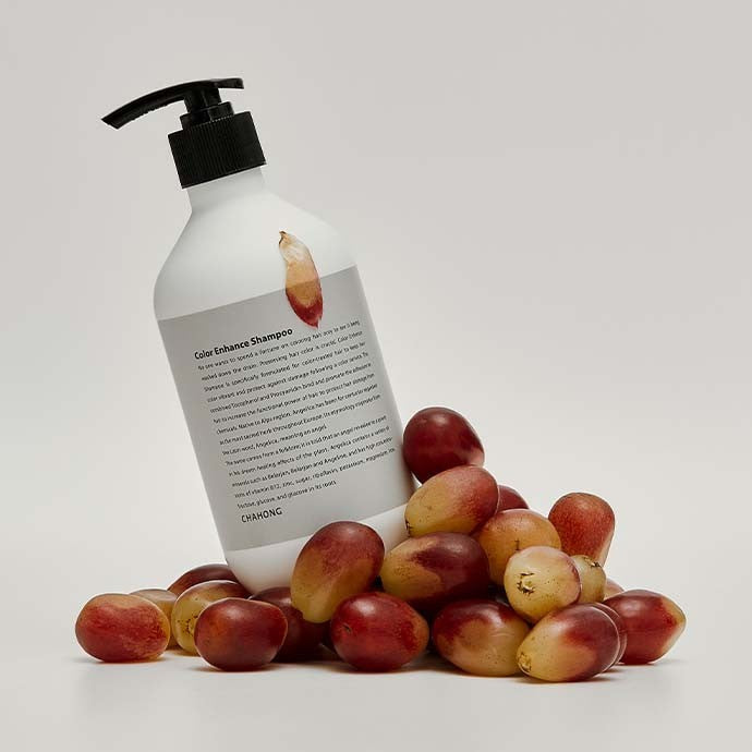 Chahong Pro Color Enhance Shampoo 500ml