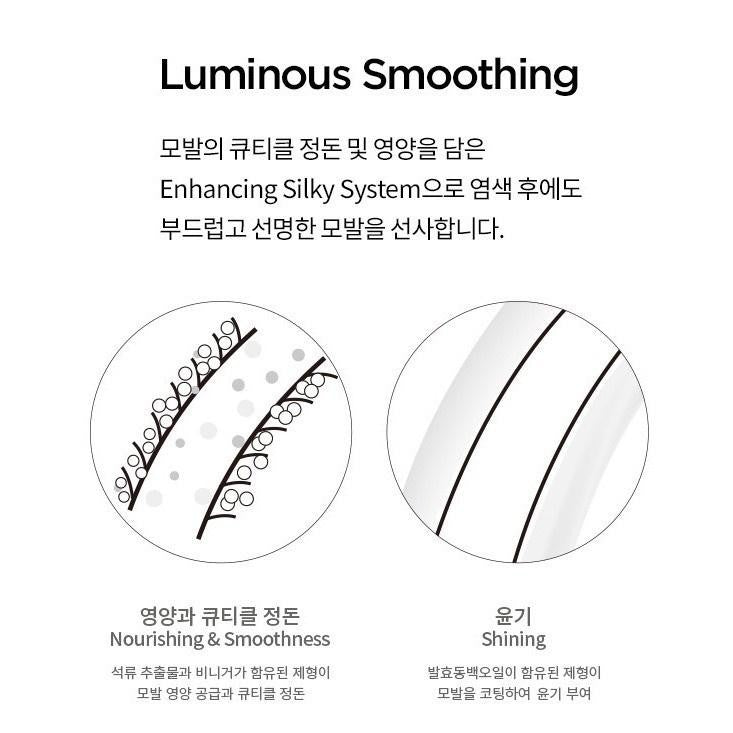 AYUNCHE Enhancing Silky Color Shampoo 500g