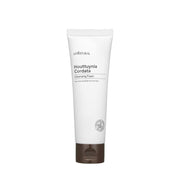 All Natural Houttuynia Low-pH Cleansing Foam 120ml