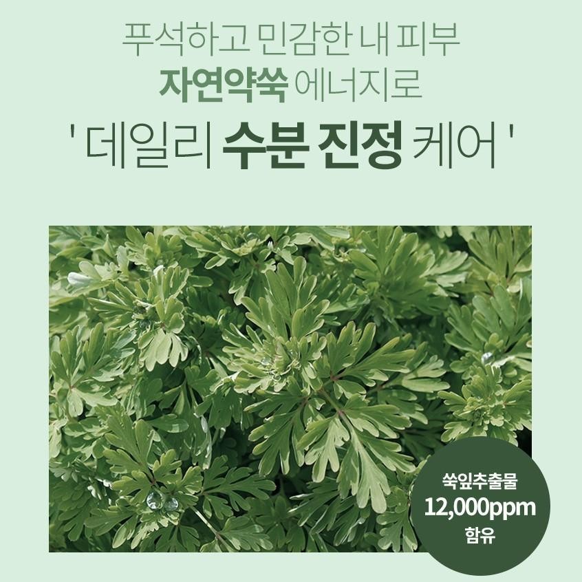Fraijour Original Herb Wormwood Calming Watery Cream 100ml