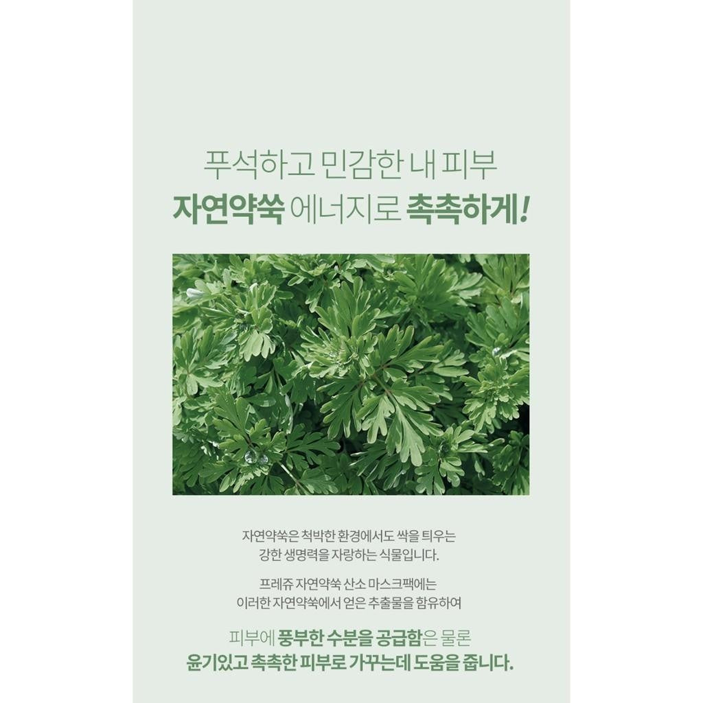 Fraijour Original Herb Wormwood O2 Mask Pack 300ml