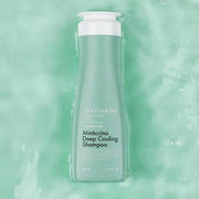 LOOK AT HAIR LOSS Minticcino Deep Cooling Shampoo 500ml