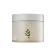 MISSHA Artemisia Calming Spot Pack 225ml / 50 Pads