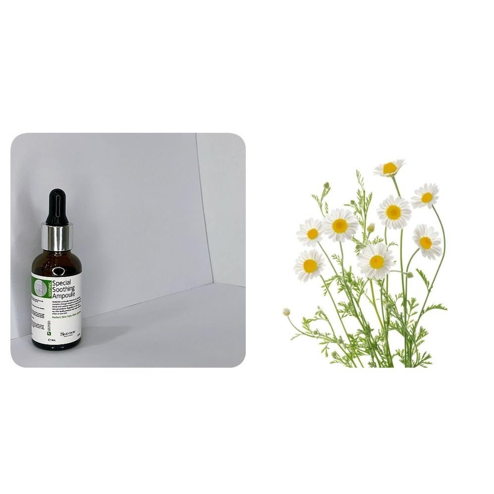 SKINDOM Special Soothing Ampoule 30ml