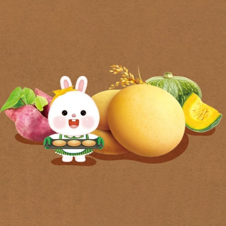 Alvins Rice Cookie 50g