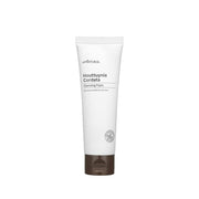 allNatural Houttuynia Cordata Cleansing Foam 120ml