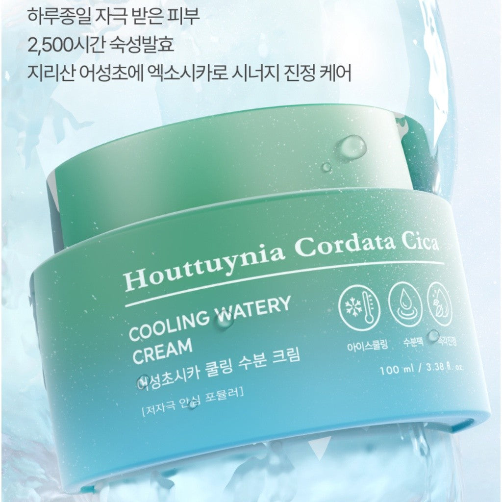 TONYMOLY Houttuynia Cordata Cica COOLING WATERY CREAM 100ml