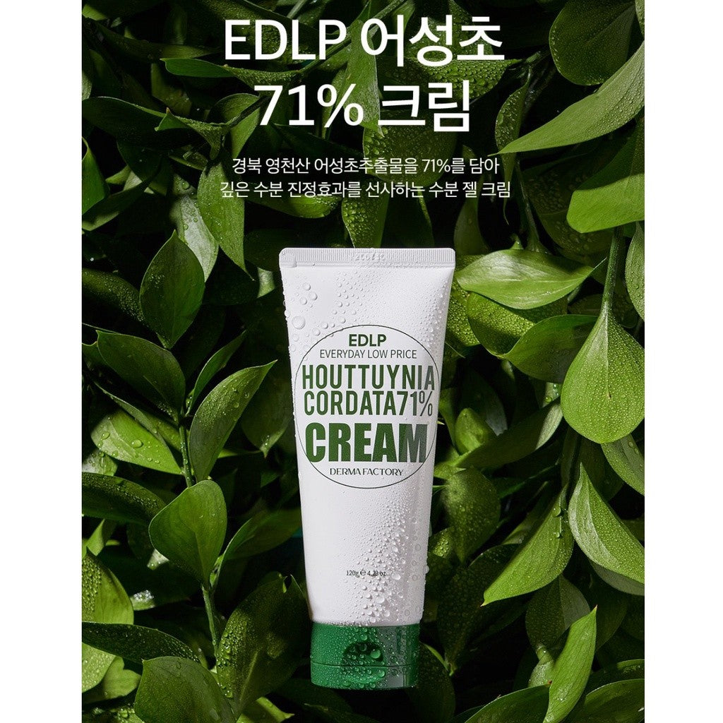DERMAFACTORY EDLP Houttuynia Cordata 71% Cream 120g