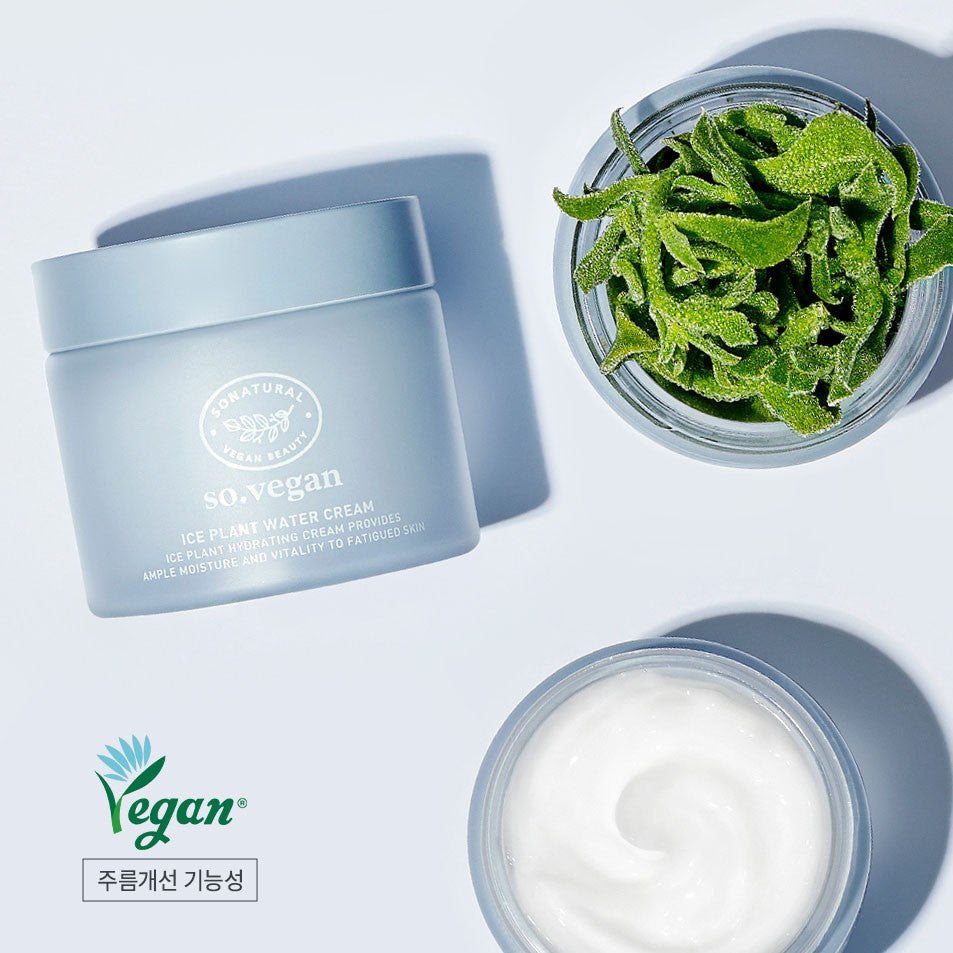 SO NATURAL Ice Plant Water Cream 70ml